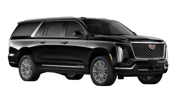 Limo Service in Hamilton
